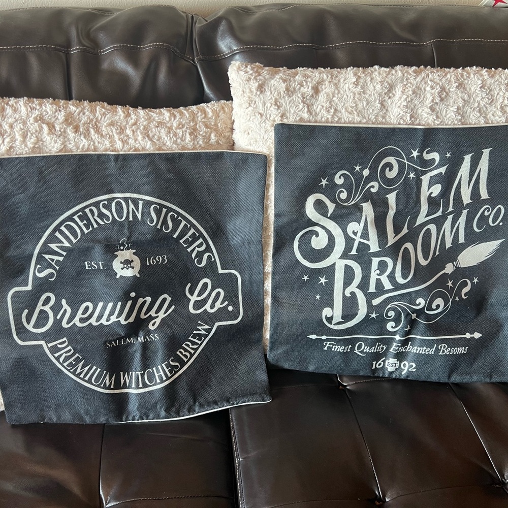 New set of Hocus Pocus pillow covers for Halloween